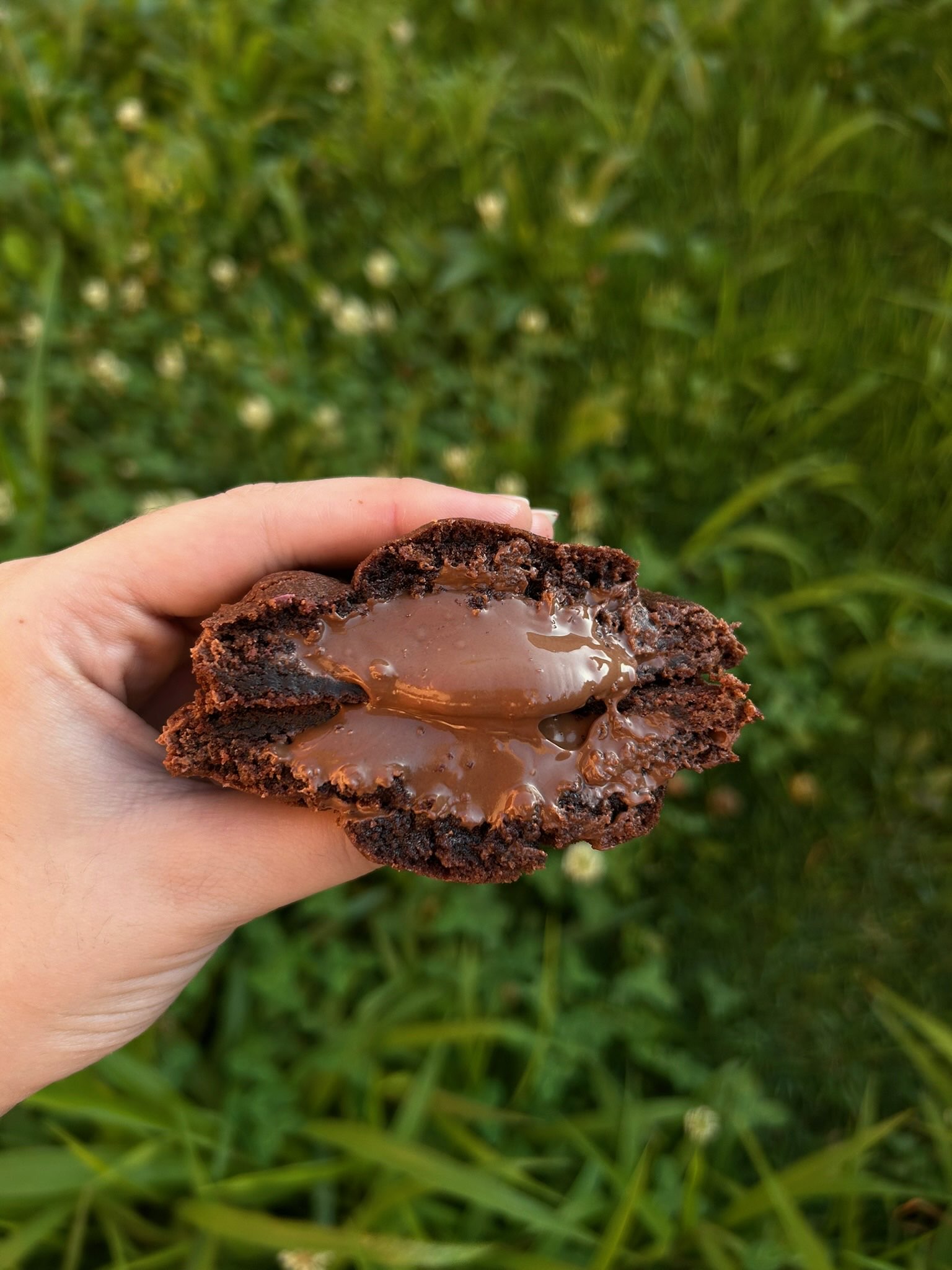 Chocotella